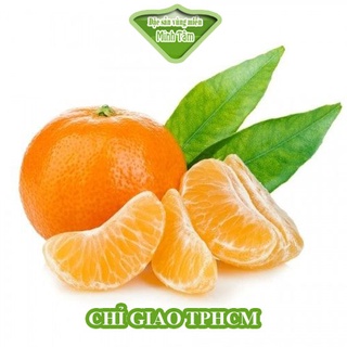 Cam canh chín cây ngon ngọt [CHỈ GIAO TPHCM]