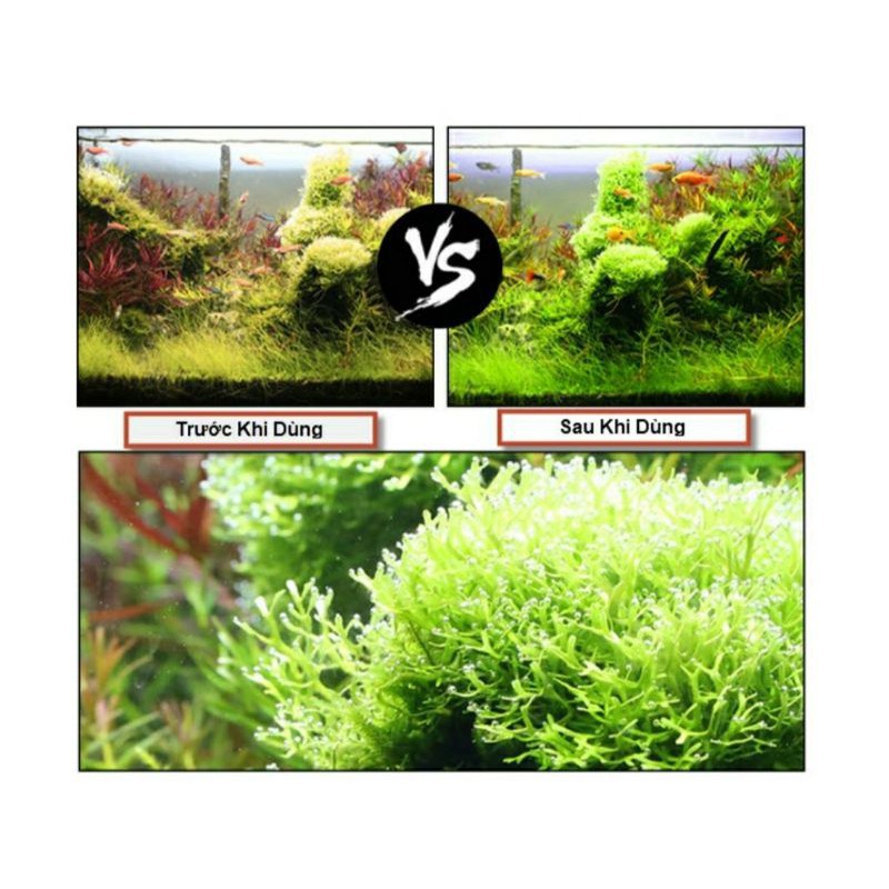 Viên Sủi Co2 viên nén SunSun Hộp 60 Viên