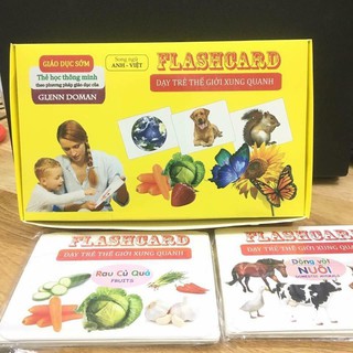 Bộ thẻ học thông minh Flashcard cho bé loại to 14 chủ đề, 280 thẻ