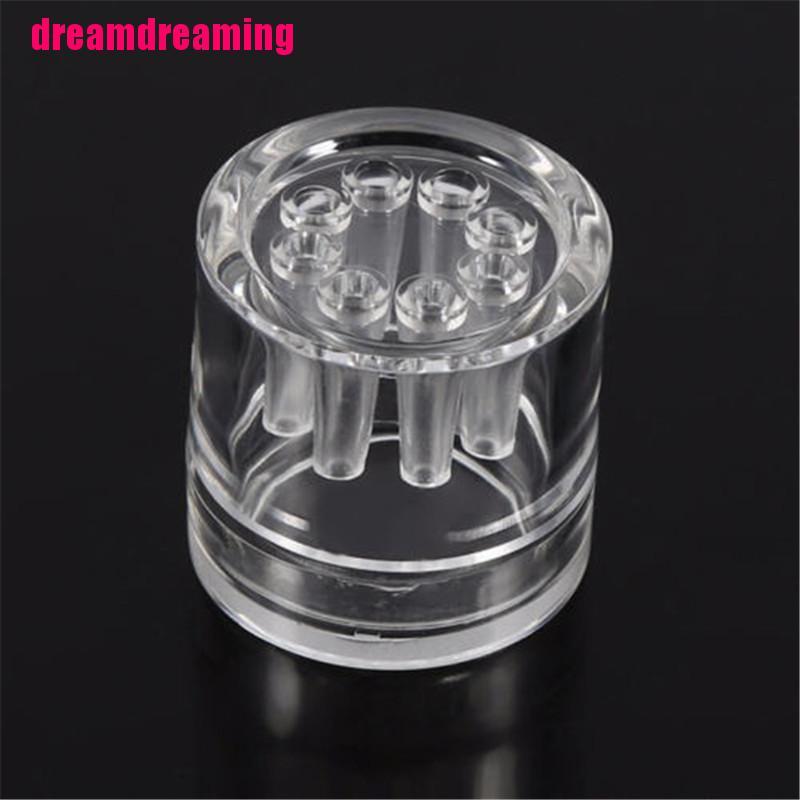 Ốc Sên 8 Lỗ Đặc Biệt Cho Bể Cá
