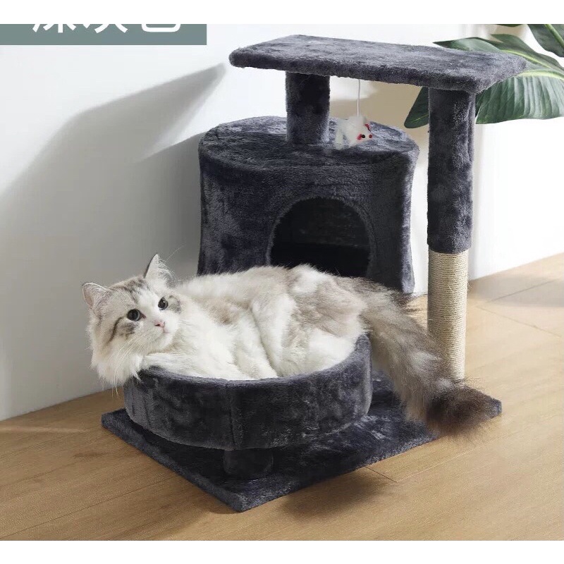 Nhà cây cho mèo - Cattree