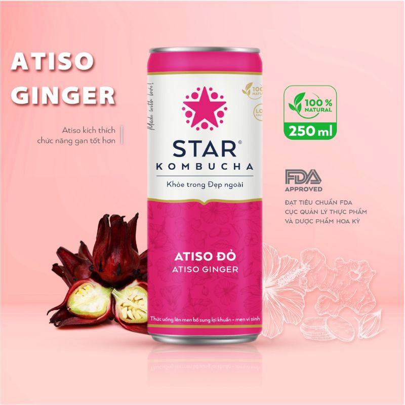 Combo 4 lon mix vị thức uống lên men STAR KOMBUCHA - Balance Pack (250ml/lon)