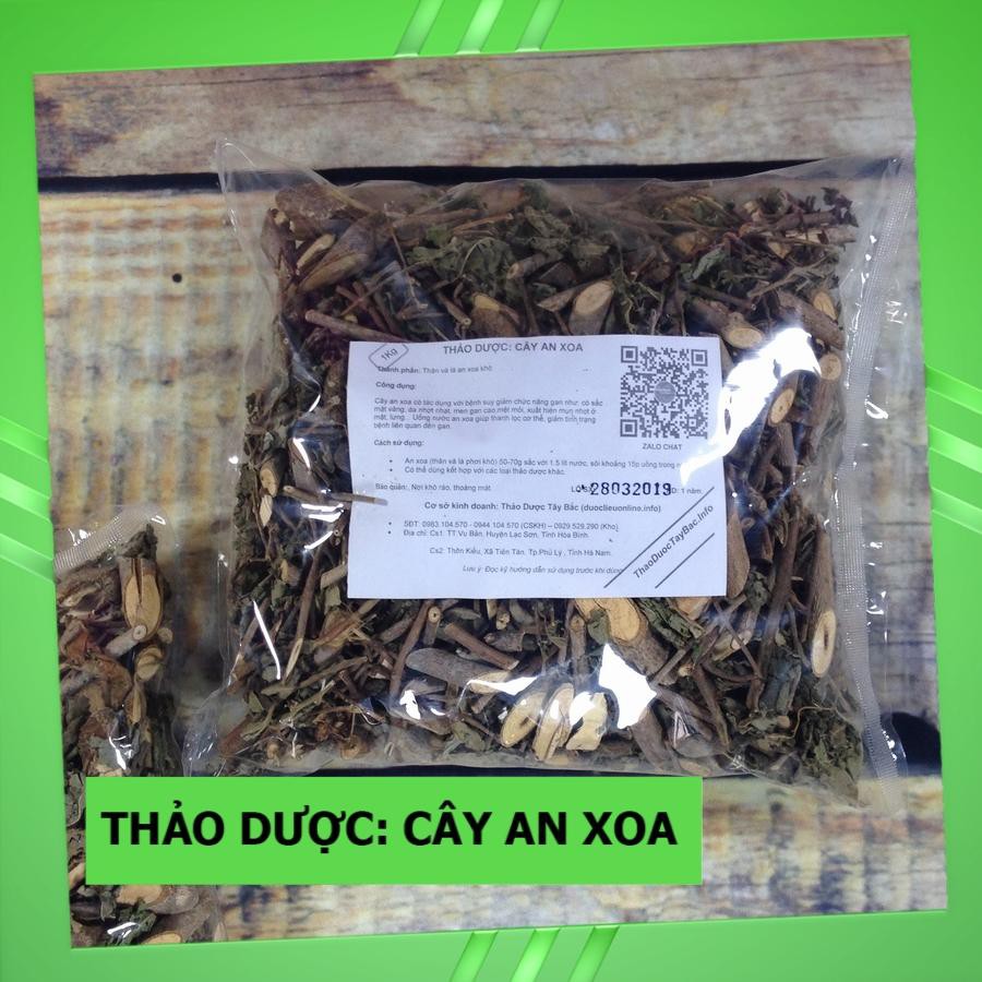 [An Xoa] Cây An Xoa Chữa Bệnh - Bán Theo Cân (1Kg)