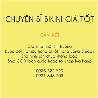 BIKINI ĐỒ BƠI TÀY DÀI CROPTOP