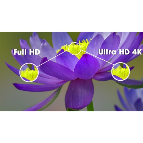 Smart Tivi LG 4K 50 inch 50UP8100PTB