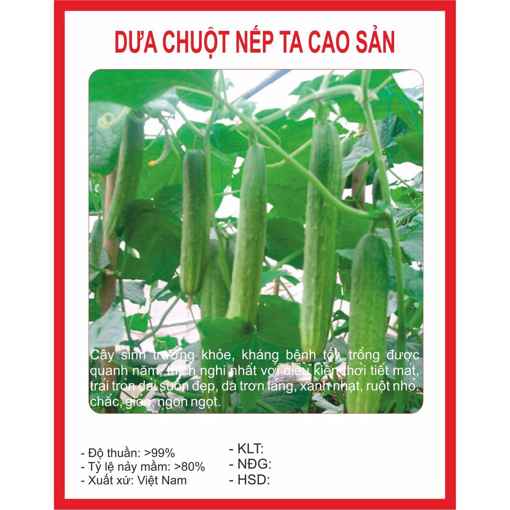 ( BOK GARDEN ) HẠT GIỐNG DƯA CHUỘT NẾP TA 10 HẠT
