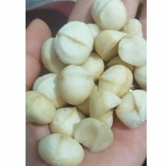 Nhân hạt măc ca macca sấy 150gr