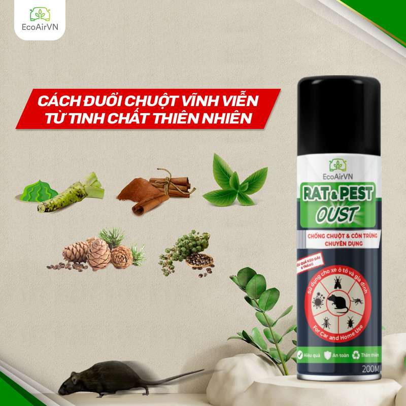 CHAI XỊT CHỐNG CHUỘT & CÔN TRÙNG RAT&PEST - TOP SẢN PHẨM ƯA CHUỘNG