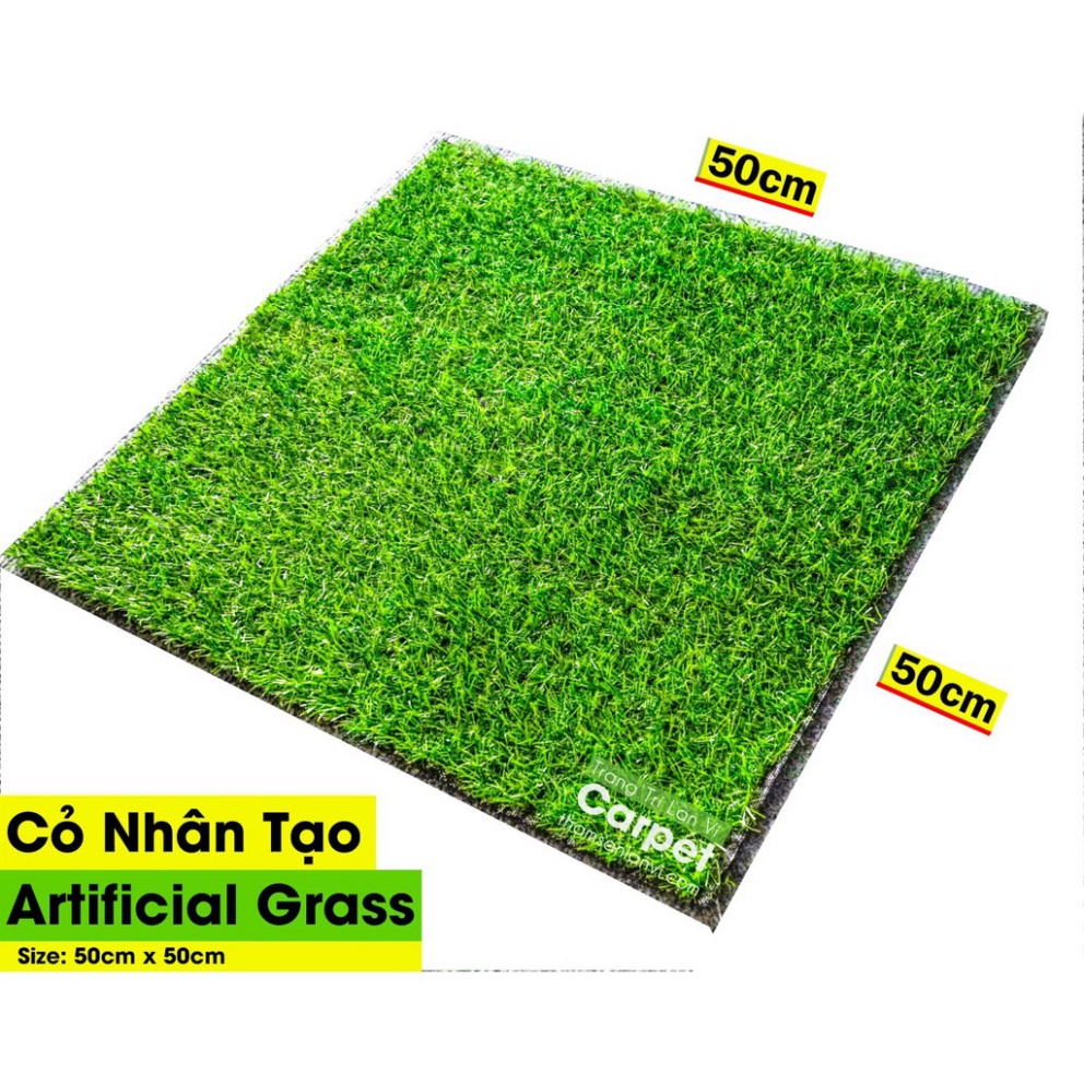 Tấm cỏ nhân tạo cao 2cm trang trí nhà cửa kích thước 50cm x 50cm