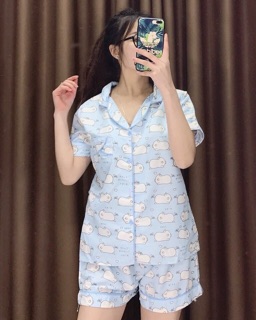 Bộ ngu cute