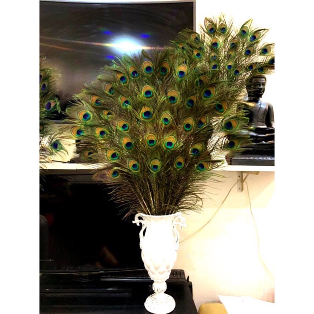 Lông công 80cm TO ĐẸP mắt 4-6cm | BigBuy360 - bigbuy360.vn