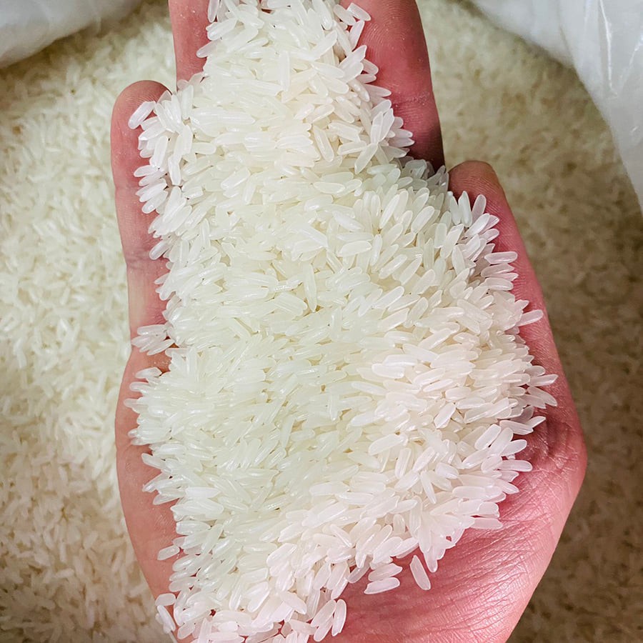 GẠO TÁM THÁI HOA LY