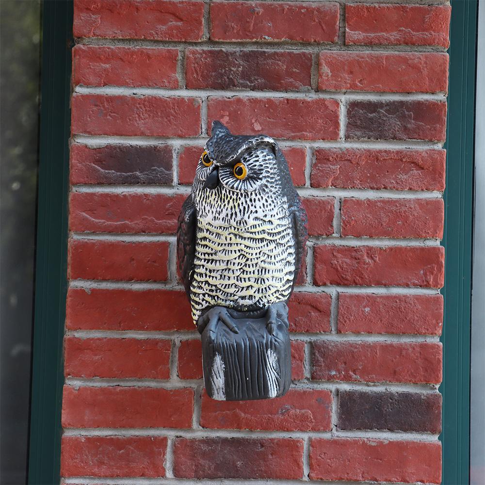 Cú Mèo Giải Trí Sống Động Như Thật Đuổi Chim Kiểm Soát Côn Trùng