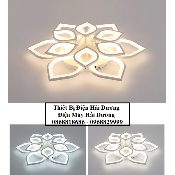 Đèn led ốp trần Hoa Sen 12 lá 75W NT022 - 3 Chế Độ Ánh Sáng - Tăng Giảm Ánh Sáng - Điều Khiển Từ Xa - Bảo hành 2 năm
