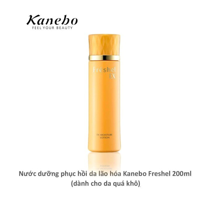 Nước Hoa Hồng Kanebo Freshel EX Moisture Lotion, Nước Dưỡng Phục Hồi Da Lão Hóa Cho Da Quá Khô