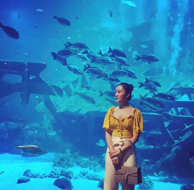 Hailey crop (croptop nhún bèo tay phồng)