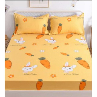 Ga Chống Thấm Cotton 1m6x2m,1m8x2m