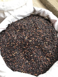 Gạo nếp cẩm Điện Biên
