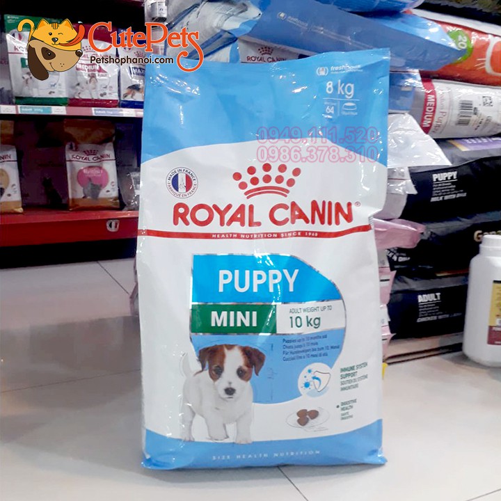 Hạt cho chó con Royal Canin Mini Puppy Tải 8kg Thức ăn cho chó nhỏ - Cutepets