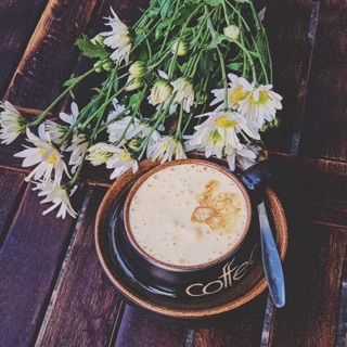 Combo 10 bộ cốc cafe trứng +đĩa kê 10 cm