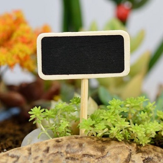 Bảng tên đen trang trí tiểu cảnh, thủy sinh, terrarium, chậu cây cảnh, sen đá, bánh kem, xương rồng, cẩm nhung