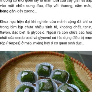 5 Cây rau mảnh cộng(không cần thêm mì chính vẫn ngọt rau)