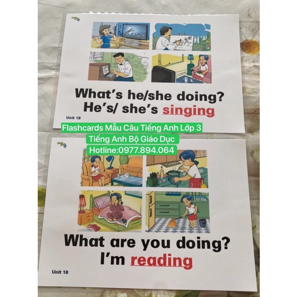 Combo Flashcard  Mẫu Câu Lớp 1-2-3-4-5