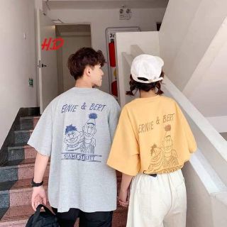 Áo ERNIE & BERT_HD