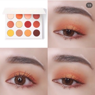 Bảng mắt Colourpop các loại