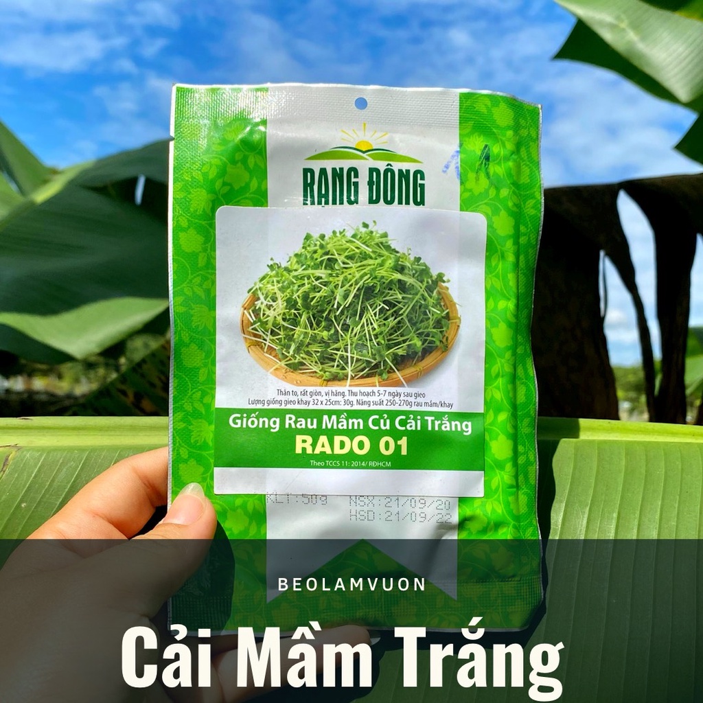 Hạt Giống Cải Mầm Rạng Đông