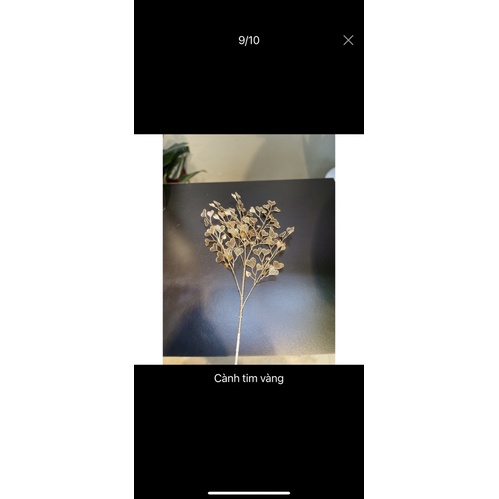 Cành lá táo vàng kim_ cành rẻ quạt decor trang trí siêu xinh