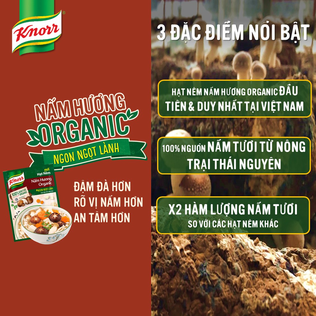 Hạt nêm Knorr Nấm hương Organic