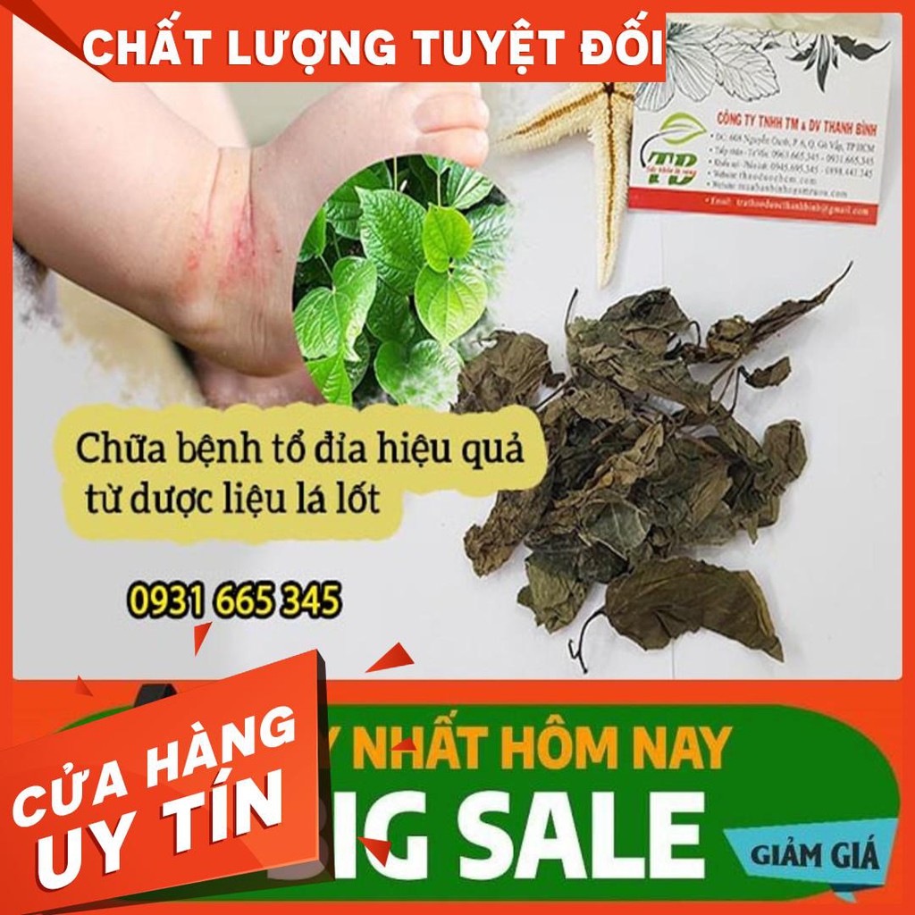 Lá Lốt Khô 100g _ Hàng Chuẩn Loại 1
