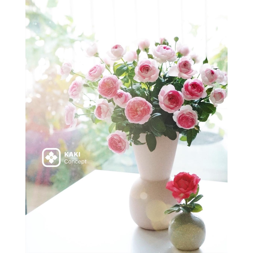 Bình hoa miệng loe trang trí phòng khách KAKI Concept