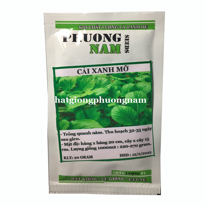  10GR - HẠT GIỐNG RAU CẢI BẸ XANH MỠ CAO SẢN