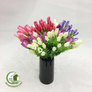 Bụi hoa tulip nhí nhiều màu - chọn màu