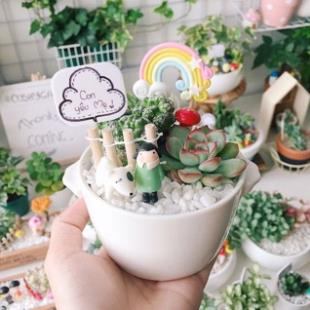 Đá sỏi trắng gói 1kg