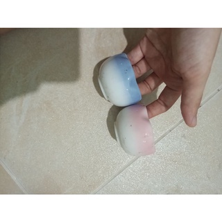 Cặp chậu sứ hình hoa xinh xắn trồng cây