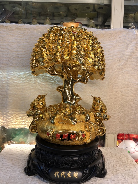 Cây kim tiền phong thuỷ cỡ đại