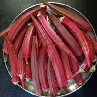 Hạt giống Đậu Bắp Đỏ gói 5gram