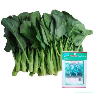 Hạt Giống Cải Rổ Phú Nông 10gram