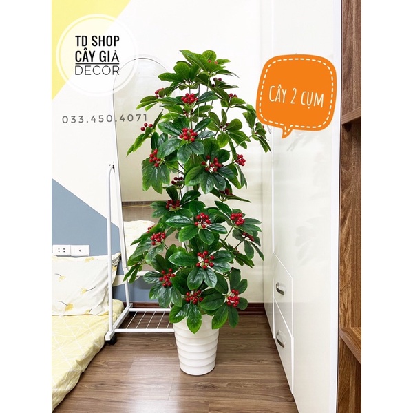 Cây kim ngân lượng decor cao 1M4- Cây giả