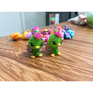 Chim cài bông dể thương