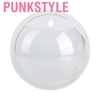 Bể Cá Mini Treo Tường 15cm