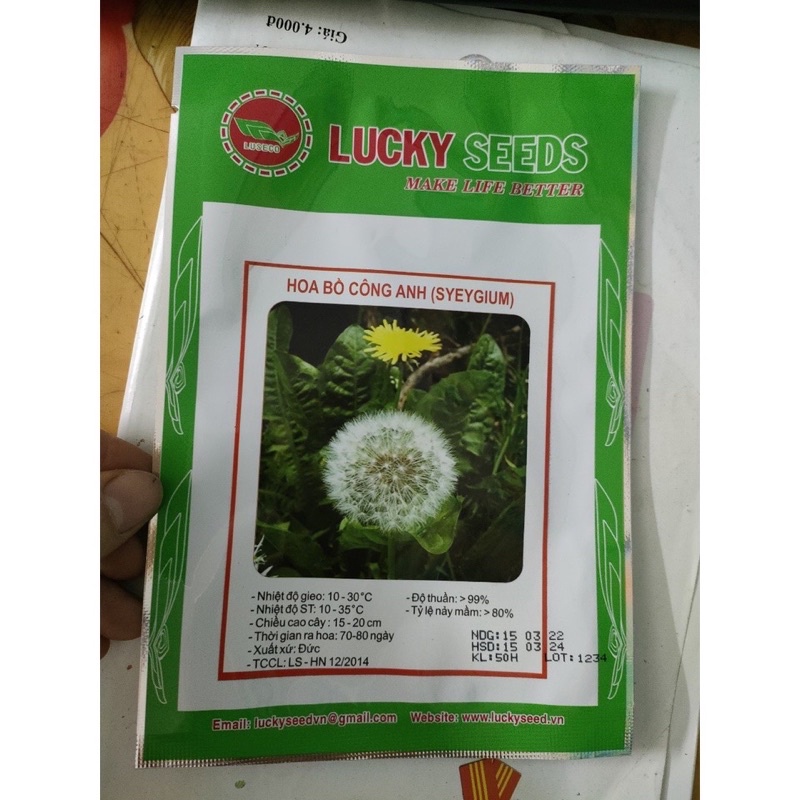 Hạt Giống Hoa Bồ Công Anh