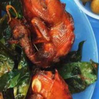 Cây Giống Mắc Mật Gia Vị Quay Thịt Không Thể Thiếu