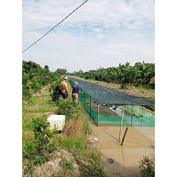 Tráng, vèo , lồng nuôi ốc nhồi , ếch , cá 6x3x1 ( 5li )