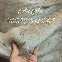 THẢM XÁM RUỐC : ĐỘC VÀ LẠ