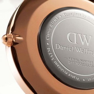 Đồng hồ nữ Daniel Wellington DW00100139