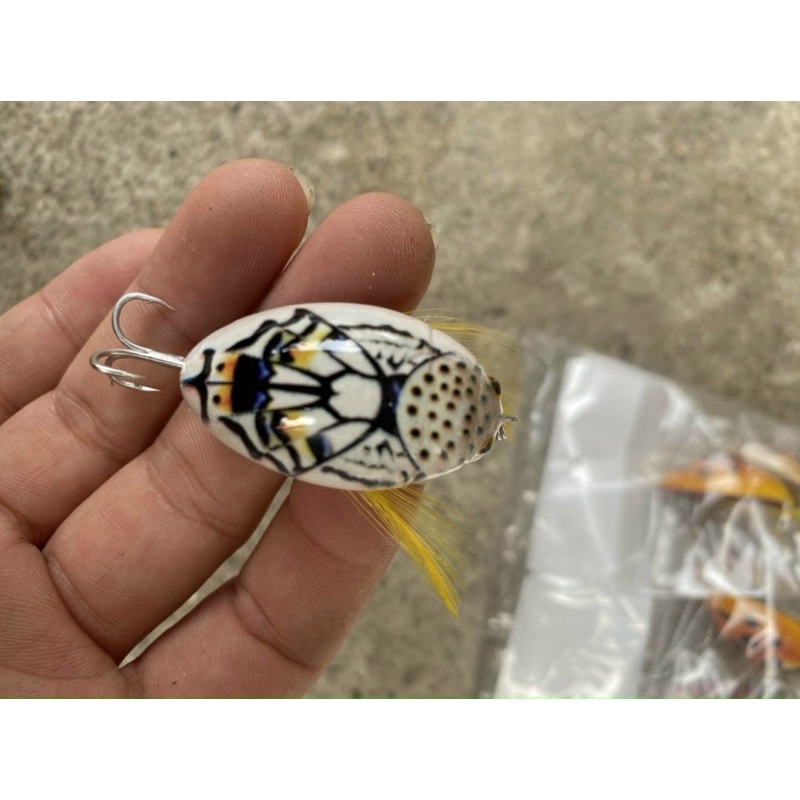 Mồi bọ cam câu lure